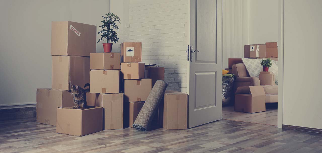 FASTMOVE LOGISTICS