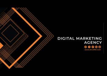 Dtroffle | Website Designing Company In Agra 